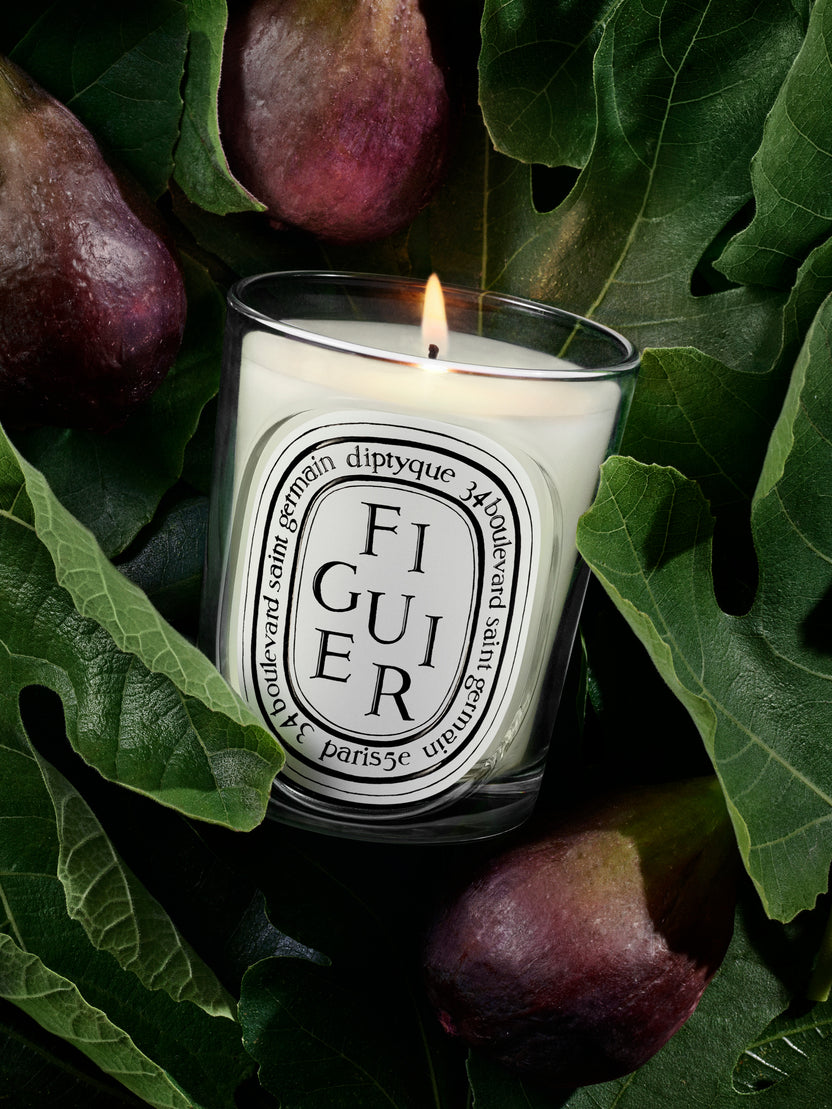 Figuier (Feigenbaum) – Duftkerze